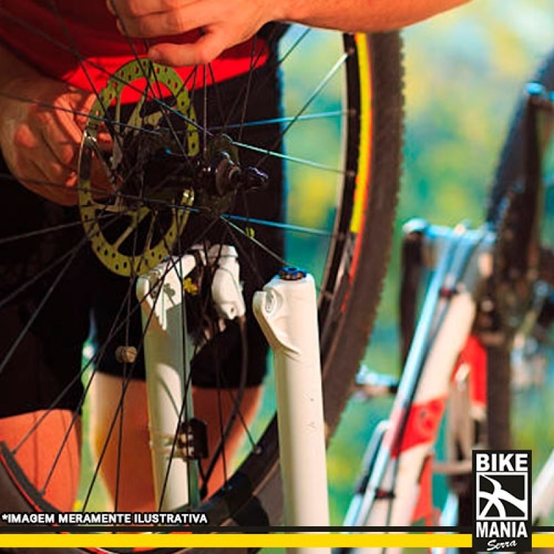 Lubrificação de Suspensão de Bike de Corrida Preço São Caetano do Sul - Lubrificação de Suspensão Bike com Regulagem